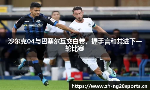 ng28体育官网
